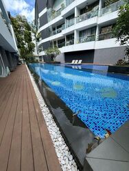 The Holland Collection (D10), Apartment #501649471